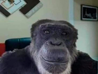 Mono